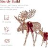 imageBest Choice Products 2Piece Moose Family Lighted Outdoor AllWeather Christmas Yard Decoration LightUp Dcor Set w 170 LED Lights Ground Stakes Zip Ties  GoldRattan  Large