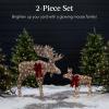 imageBest Choice Products 2Piece Moose Family Lighted Outdoor AllWeather Christmas Yard Decoration LightUp Dcor Set w 170 LED Lights Ground Stakes Zip Ties  GoldRattan  Large