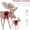 imageBest Choice Products 2Piece Moose Family Lighted Outdoor AllWeather Christmas Yard Decoration LightUp Dcor Set w 170 LED Lights Ground Stakes Zip Ties  GoldRattan  Large