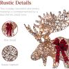 imageBest Choice Products 2Piece Moose Family Lighted Outdoor AllWeather Christmas Yard Decoration LightUp Dcor Set w 170 LED Lights Ground Stakes Zip Ties  GoldRattan  Large