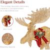 imageBest Choice Products 2Piece Moose Family Lighted Outdoor AllWeather Christmas Yard Decoration LightUp Dcor Set w 170 LED Lights Ground Stakes Zip Ties  GoldGold  Extra Large