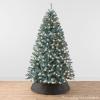 imageBest Choice Products 6ft PreLit Blue Spruce Christmas Tree Artificial Full Hinged Decor Holiday Decoration w 250 Warm White Incandescent Lights 900 Tips Foldable Metal BaseGreen