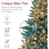 imageBest Choice Products 6ft PreLit Blue Spruce Christmas Tree Artificial Full Hinged Decor Holiday Decoration w 250 Warm White Incandescent Lights 900 Tips Foldable Metal BaseGreen