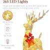 imageBest Choice Products Lighted Christmas 4ft Reindeer ampamp Sleigh Holiday Outdoor Yard Decoration Set w 205 LED Lights Stakes Zip Ties  WhiteGold  Extra Large