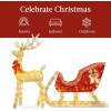 imageBest Choice Products Lighted Christmas 4ft Reindeer ampamp Sleigh Holiday Outdoor Yard Decoration Set w 205 LED Lights Stakes Zip Ties  WhiteGold  Extra Large