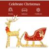 imageBest Choice Products Lighted Christmas 4ft Reindeer ampamp Sleigh Holiday Outdoor Yard Decoration Set w 205 LED Lights Stakes Zip Ties  WhiteGold  Large