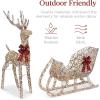 imageBest Choice Products Lighted Christmas 4ft Reindeer ampamp Sleigh Holiday Outdoor Yard Decoration Set w 205 LED Lights Stakes Zip Ties  WhiteRattan  Extra Large
