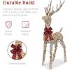 imageBest Choice Products Lighted Christmas 4ft Reindeer ampamp Sleigh Holiday Outdoor Yard Decoration Set w 205 LED Lights Stakes Zip Ties  WhiteRattan  Large