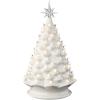 White W/ Warm White Lights