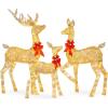 imageBest Choice Products 3Piece Large Lighted Christmas Deer Family Set 5Ft Outdoor Yard Decoration with 360 LED Lights Stakes Zip Ties  RattanGold  Extra Large
