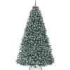 Frosted Blue Spruce