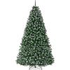 Frosted Green Spruce