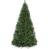 Green Spruce