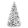 White Spruce