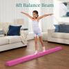 imageBest Choice Products 10ftx4ftx2in Folding Gym Mat 4Panel Exercise Gymnastics Aerobics Workout Fitness Floor Mats wCarrying HandlesPink wBeam