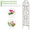 imageBest Choice Products Set of 2 60x15inch Iron Arched Garden Trellis wBranches Birds for Lawn Garden Backyard Climbing Plants2