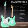 imageBest Choice Products 39in Full Size Beginner Electric Guitar Starter Kit wCase Strap 10W Amp Strings Pick Tremolo Bar  SoCal GreenSoCal Green