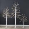 imageBest Choice Products 4ft 6ft and 8ft Lighted Birch Tree 3Pk wLED Lights 12 Color Options wWarm White for Home Festival Party Holiday Christmas Decoration Indoor and Outdoor Decor  BrownWhite