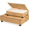 imageBest Choice Products Under Bed Storage Containers WLid Wheels and Handles 2Pack Large Handwoven Water Hyacinth Closet Organizer Shoe Storage Bins MultiPurpose Nesting Baskets  NaturalNatural