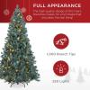 imageBest Choice Products 6ft PreLit PreDecorated Pine Artificial Christmas Tree w 1000 Tips 59 Pinecones 250 Lights Base  GreenBlue Spruce