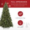 imageBest Choice Products 6ft PreLit PreDecorated Pine Artificial Christmas Tree w 1000 Tips 59 Pinecones 250 Lights Base  GreenGreen