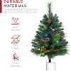 imageBest Choice Products Set of 2 245in Outdoor Flocked Scotch Pine Pathway Christmas Trees Battery Operated PreLit Holiday Dcor wLED LightsGreen
