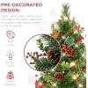 imageBest Choice Products Set of 2 245in Outdoor Flocked Scotch Pine Pathway Christmas Trees Battery Operated PreLit Holiday Dcor wLED LightsGreen WBerries
