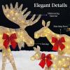 imageBest Choice Products 2D Moose Family Outdoor 2Pc Christmas Yard Dcor 4ft Lighted Yard Set Prelit AllWeather w 125 LEDs Ground Stakes  GoldGold  3Piece