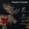 imageBest Choice Products 2D Moose Family Outdoor 2Pc Christmas Yard Dcor 4ft Lighted Yard Set Prelit AllWeather w 125 LEDs Ground Stakes  GoldRattan  3Piece