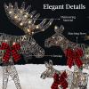 imageBest Choice Products 2D Moose Family Outdoor 2Pc Christmas Yard Dcor 4ft Lighted Yard Set Prelit AllWeather w 125 LEDs Ground Stakes  GoldRattan  3Piece