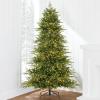 imageBest Choice Products Full Flocked Aspen Christmas Tree 12ft Prelit Noble Fir w 3000 Super Bright Twinkling Micro LED Lights 2in1 White ampamp MultiGreen