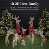imageBest Choice Products 4ft 3Piece 2D Lighted Christmas Deer Family Set Large Outdoor Yard Reindeer Holiday Decoration with 175 LED Lights Stakes Zip Ties  GoldRattan