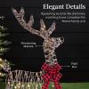 imageBest Choice Products 4ft 3Piece 2D Lighted Christmas Deer Family Set Large Outdoor Yard Reindeer Holiday Decoration with 175 LED Lights Stakes Zip Ties  GoldRattan