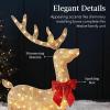 imageBest Choice Products 4ft 3Piece 2D Lighted Christmas Deer Family Set Large Outdoor Yard Reindeer Holiday Decoration with 175 LED Lights Stakes Zip Ties  GoldGold