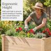 imageBest Choice Products 48 x 24 x 30 Raised Garden Bed with Extra Deep 16 Depth Elevated Wood Planter Box Stand for Backyard Patio Balcony Natural Fir Wood  Acorn BrownNatural
