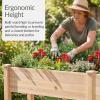 imageBest Choice Products 48 x 24 x 30 Raised Garden Bed with Extra Deep 16 Depth Elevated Wood Planter Box Stand for Backyard Patio Balcony Natural Fir Wood  Acorn BrownNatural