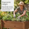 imageBest Choice Products Raised Herb Garden Bed Planter Box  Elevated Wooden Planter with 10 Grid Growing Compartments Drainage Holes Vegetable Flower Garden Box for Patio Balcony Backyard  NaturalAcorn