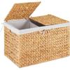 imageBest Choice Products Storage Trunk Basket wLid Large Woven Storage Basket Organizer wSeparate Lids Washable Sectioned Liner Bag for Living Room Bedroom Laundry Room Nursery  NaturalNatural